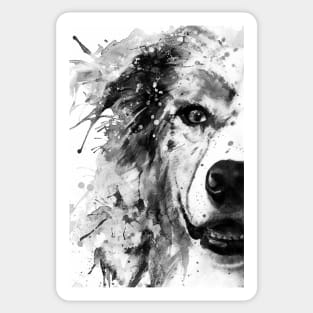 Australian Shepherd Dog Half Face Portrait Sticker